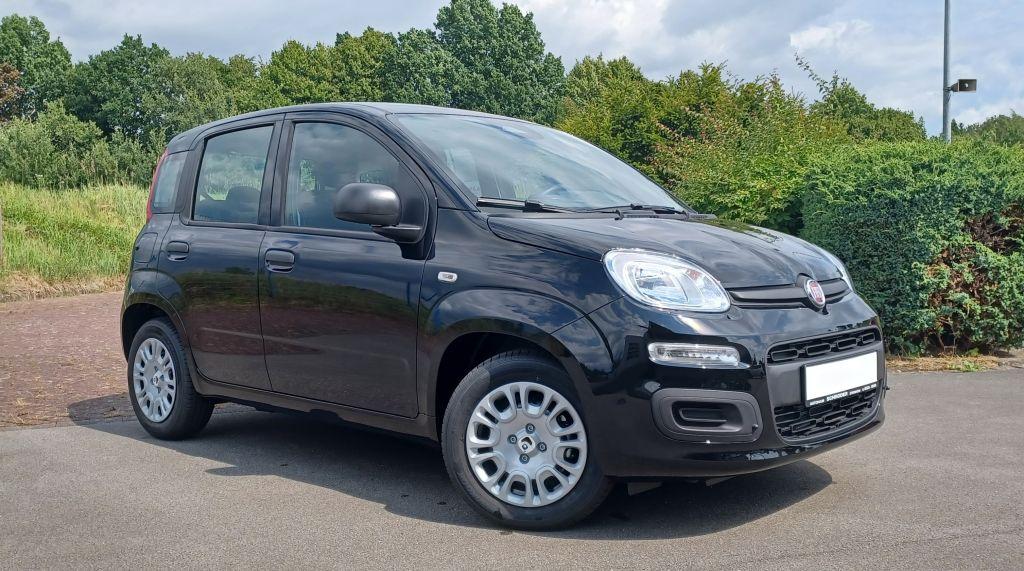 Fiat Panda ICON Hybrid 70PS MY25 TZ