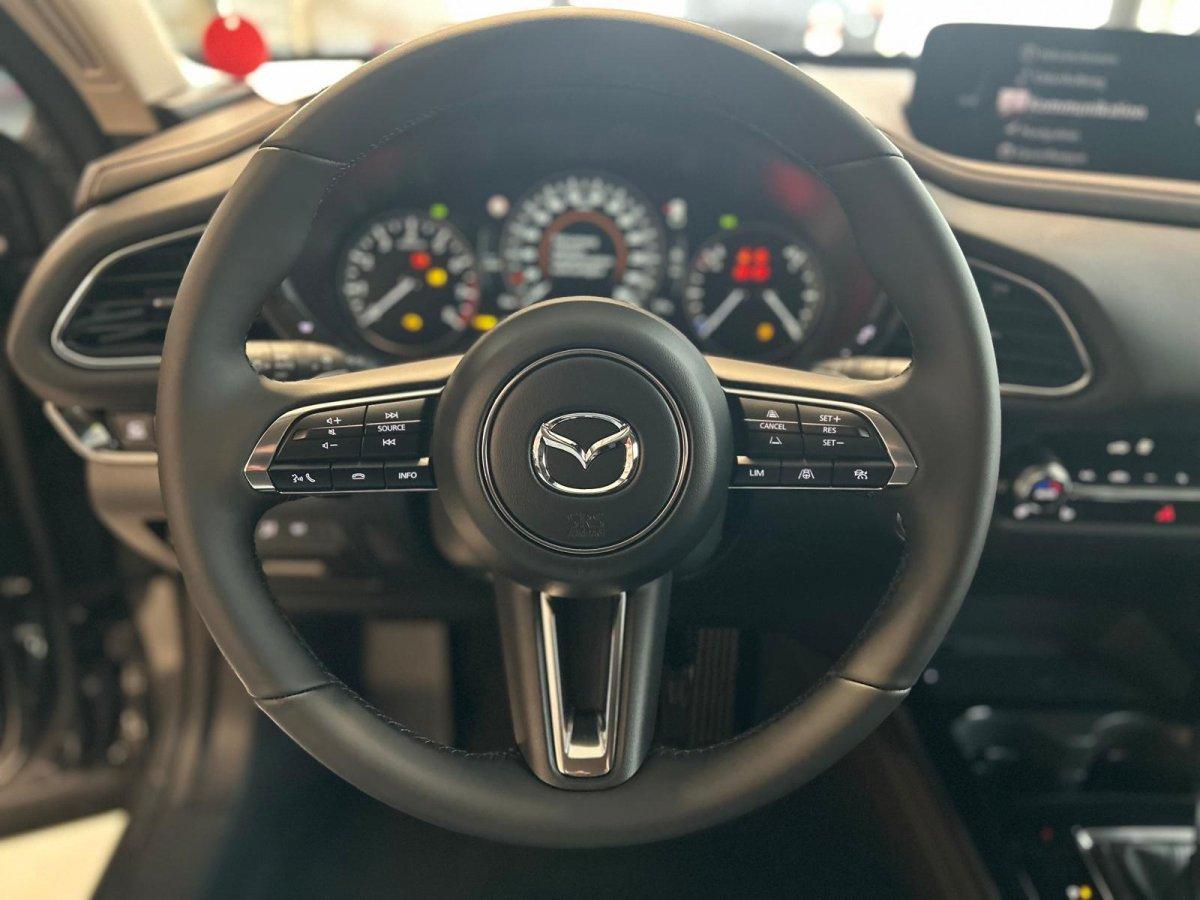 Mazda CX-30 Takumi 186 PS *GSD*Leder*Kamera*, миниатюра 10