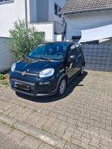 Fiat Panda 1.0 GSE Hybrid Pop Pop - Fiat Panda Gebrauchtwagen in Frankfurt