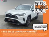 Toyota RAV4 2.5 D Team Deutschland ACC FLA SpurH LM - Toyota RAV 4 Jahreswagen