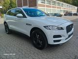 Jaguar F-Pace 20 d Pure 6 Gang Kamera AHK - Jaguar F-Pace in Duisburg