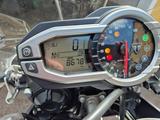 Triumph Tiger 800 - TRIUMPH TIGER 800