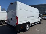 Fiat Ducato Maxi Kühler - 35 -160 1.Hd - Motor neu - Angebote