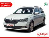 Skoda Fabia Combi 1.0 PDC Klima Tagfahrlicht USB - Skoda Fabia Gebrauchtwagen in Dresden