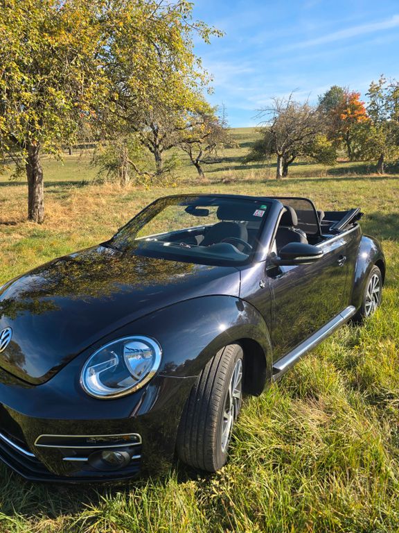 Image of Volkswagen Beetle