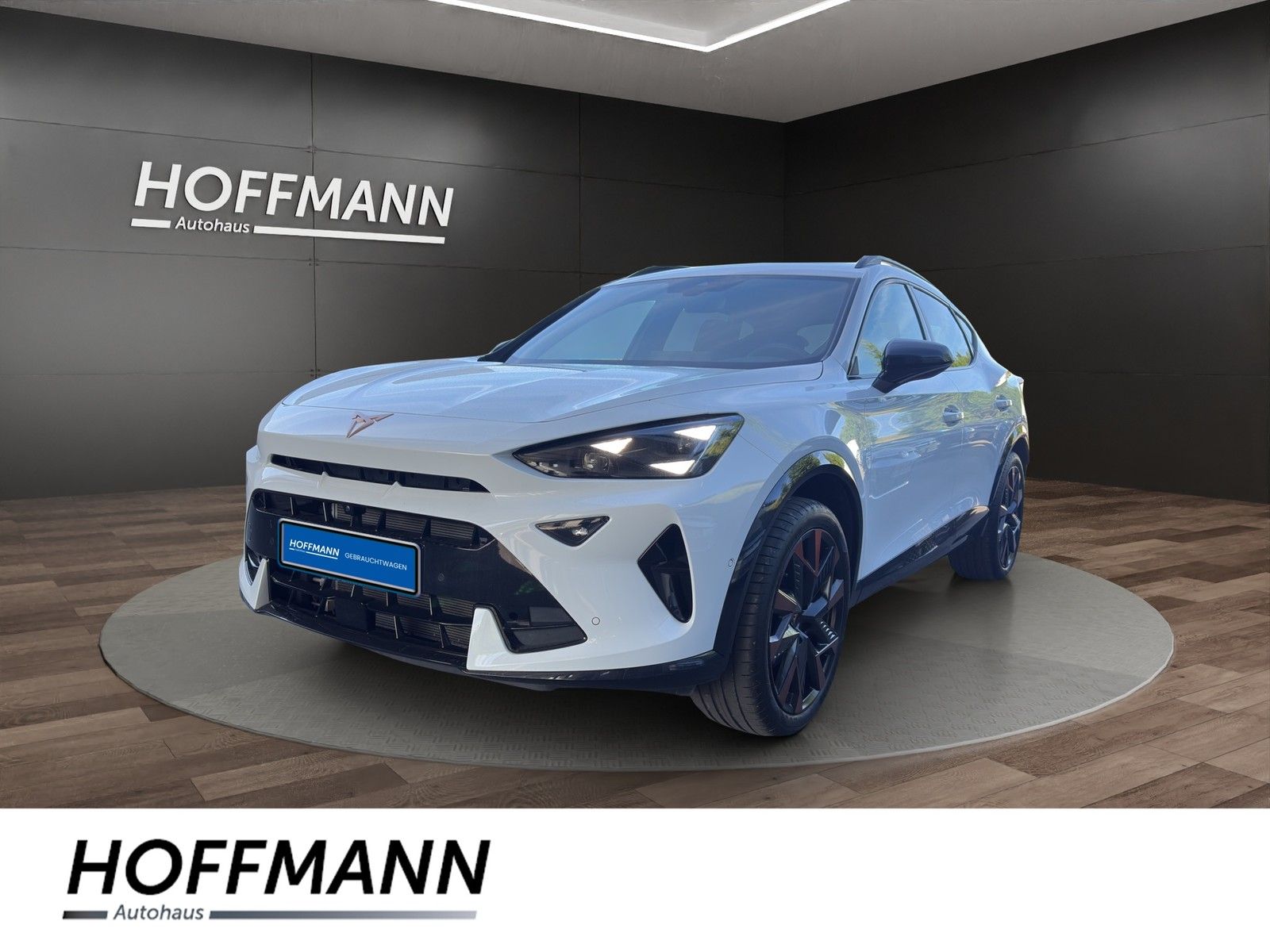 Fahrzeugbild von Cupra Formentor