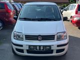Fiat Panda 1.2 8V Dynamic, 1-Hand, TÜV neu - Fiat Panda: Van