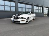 Ford Mustang GT/CS 4.6l V8 - Ford Mustang: Cs