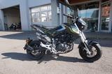 Benelli Tornado Naked T 125 E5, NEU - BENELLI 125