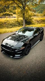 Ford Mustang / Shelby Komplett-Paket  - Ford: Shelby