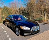 Jaguar XF V6 2,7l Premium Luxury - TÜV bis... - Jaguar XF aus 2009: Luxury
