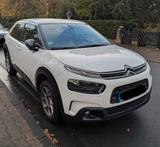 Citroën C4 Cactus PureTech 110 S&S Shine Shine - Citroën C4 Cactus von privat