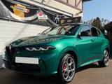 Alfa Romeo Tonale Tributo Italiano 280 PlugIn,Q4,Harm.,3,99 - Alfa Romeo Tonale: Tributo Italiano