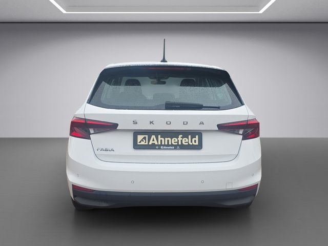 Fabia Ambition