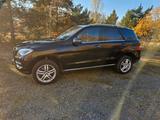 Mercedes-Benz ML 500 4MATIC - - Mercedes-Benz ML 500: 4matic
