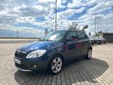 Skoda Fabia Scout*HU/AU neu* - Skoda Fabia: Scout