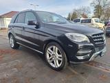 Mercedes-Benz Mercedes ML 250 BLUETEC  4Matic - Mercedes-Benz ML 250 Gebrauchtwagen in Berlin