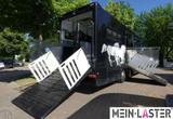 Mercedes-Benz 2651 Actros STX Pferdetrasnporter horseboxes - 4x4 Actros