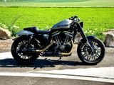 Harley-Davidson XL 1200CX Roadster Sportster 48 - Offers matching your search criteria