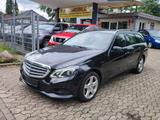 Mercedes-Benz E 300 BlueTec / Leder / Navi / Kamera / - Mercedes-Benz E 300 mit Diesel-Antrieb: Automatik