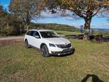 Skoda Octavia 1.8 TSI DSG 4x4 Scout Combi Scout - Skoda Octavia: Scout Combi