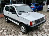 Fiat Panda 1100 i.e. cat 4x4 Trekking - Fiat: 1100