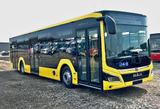 MAN Lion´s City C12, NEU,  mehrere Omnibusse !!!! - Omnibusse
