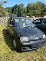 Fiat seicento - Fiat Seicento Gebrauchtwagen