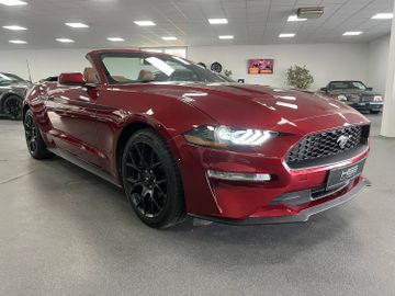 Ford Mustang - 5