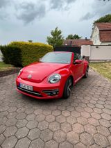 Volkswagen VW Beetle Cabriolet 1,2 TSI Sound - Volkswagen Beetle: Rot