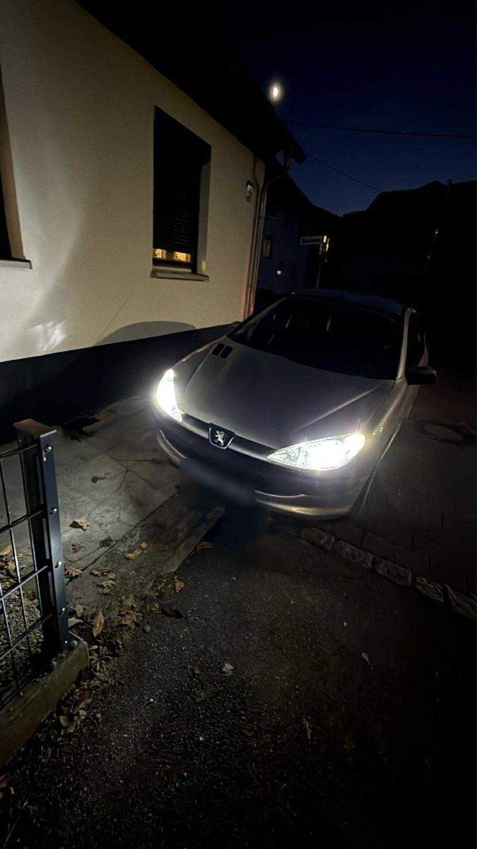 Peugeot 206