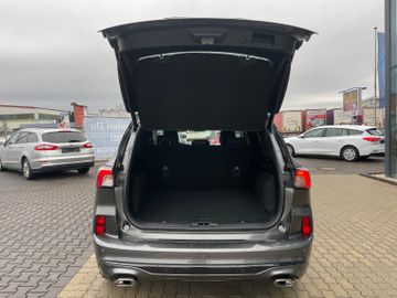 Fahrzeugabbildung Ford Vignale Plug-In Hybrid Spurführungsass., LED