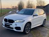 BMW X5 xDrive40d M-Sport ACC/Pano/HuD/LED+ - BMW X5: 40d M Sport