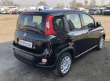 Fiat Panda MY24 1.0 Klima PDC Citypaket - Fiat Panda Gebrauchtwagen