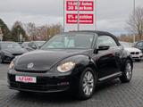 Volkswagen Beetle Cabriolet 1.2 Tempomat Sitzheizung AUX - VW Beetle mit Schiebedach