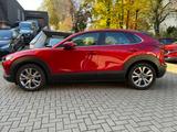 Mazda CX-30 SKYACTIV-G 122 AT SELECTION Leder AHK - Mazda CX-30 aus 2023