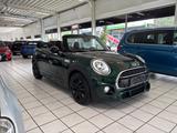 MINI COOPER S Cabrio *British Racing Green* - MINI MINI Gebrauchtwagen