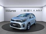 Kia Picanto Vision 1.0 Navi Klimaautom Rückfahrkam.  - gebrauchte Kia Picanto aus dem Jahr 2024