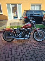 Harley-Davidson Dyna skull-bikes - Offers matching your search criteria