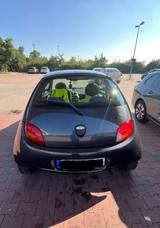 Ford Ka/Ka+ 1,3 51kW Royal Royal - Ford Ka/Ka+ in Gelsenkirchen