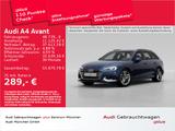Audi A4 Avant 40 TFSI qu. S tronic advanced StdHzg/AH