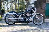 Harley-Davidson SOFTAIL DELUXE FLSTN 96 CBI - Offers