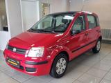 Fiat Panda 1.2 8V Dynamic*TÜV*KLIMA*NAVI*PANO* - gebrauchte Fiat Panda aus dem Jahr 2008
