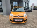 Fiat Panda Base 1.0l*Hybrid, Klimaanlage,mwst.* - gebrauchte Fiat Panda aus dem Jahr 2021
