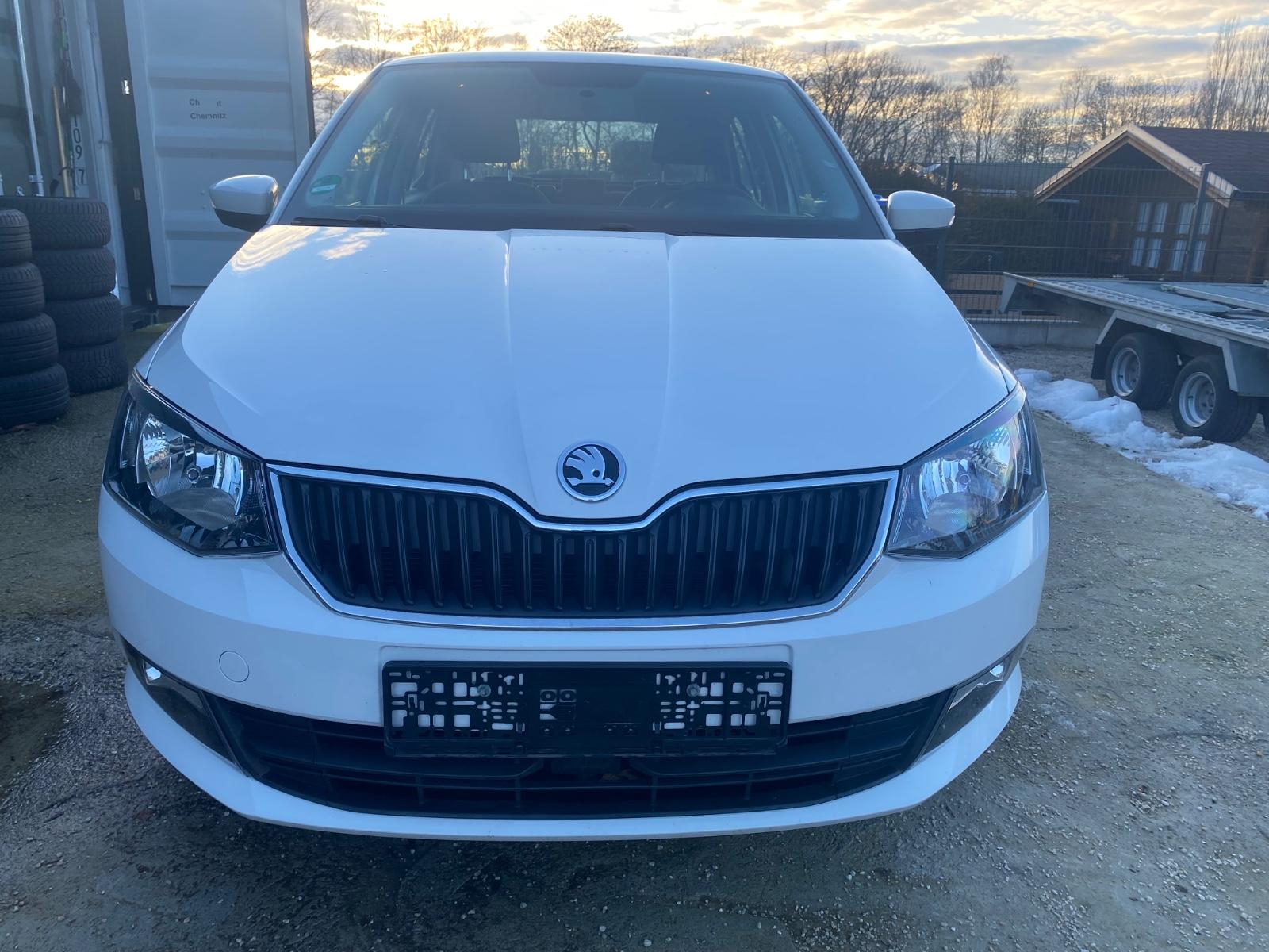 Skoda Fabia Ambition,Klima,SR,Wr,TÜV/AU Neu