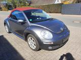Volkswagen New Beetle Cabriolet 1.6 - Volkswagen New Beetle in Bremen