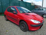 Peugeot 206 Petit Filou - Peugeot 206: Rot