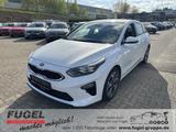 Kia Ceed 1.4 T-GDI DCT Platinum LED|PANO|LEDER|ACC|R - gebrauchte Kia cee'd / Ceed aus dem Jahr 2020