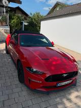 Ford Mustang 5.0 Ti-VCT V8 GT Auto GT - Ford Mustang mit Benzin-Antrieb: Cabrio, 5.0