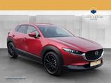 Mazda CX-30 2.0 M Hybrid Selection 360°*ACC*AUT*LM - Mazda Gebrauchtwagen in Leipzig